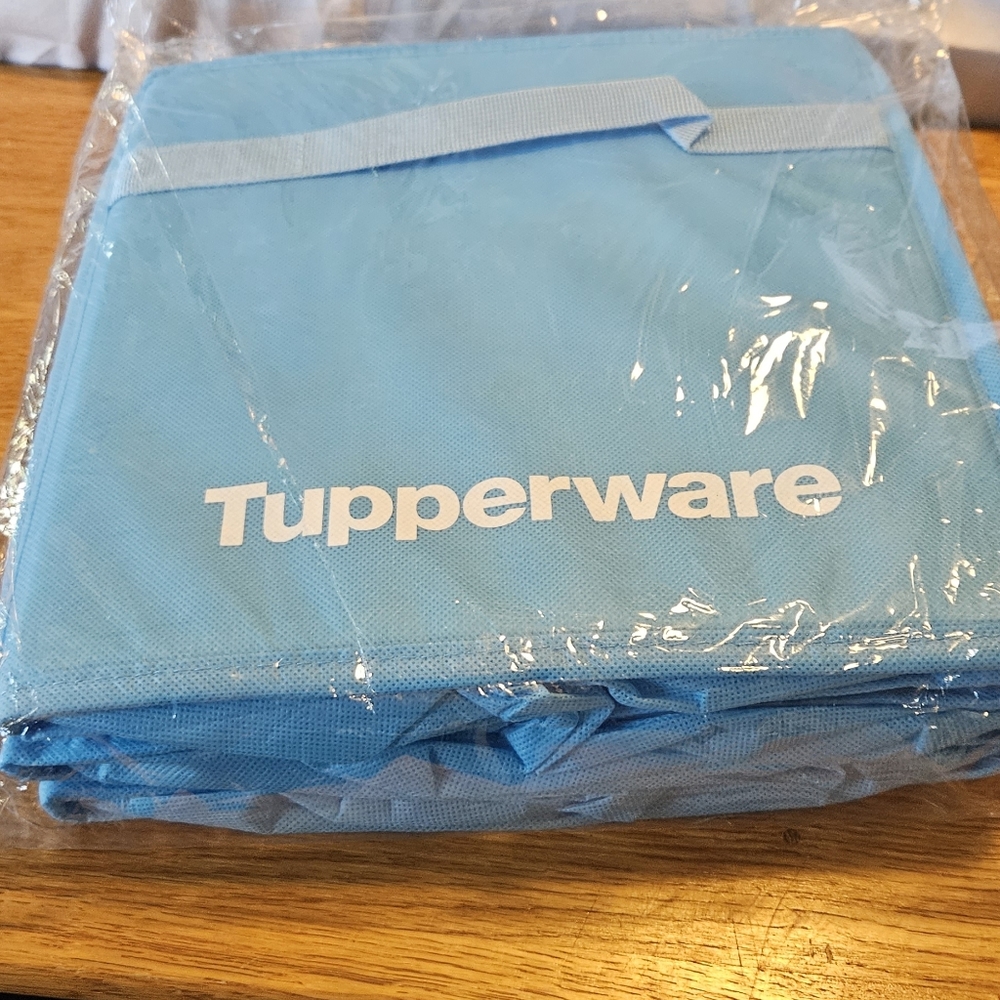 Tupperware trunk organizer